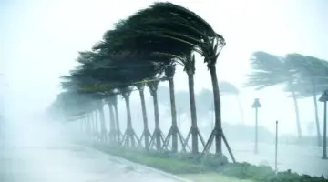 حالة الطقس غدًا.. منخفض جوي وأمطار رعدية تجتاح أغلب الأنحاء